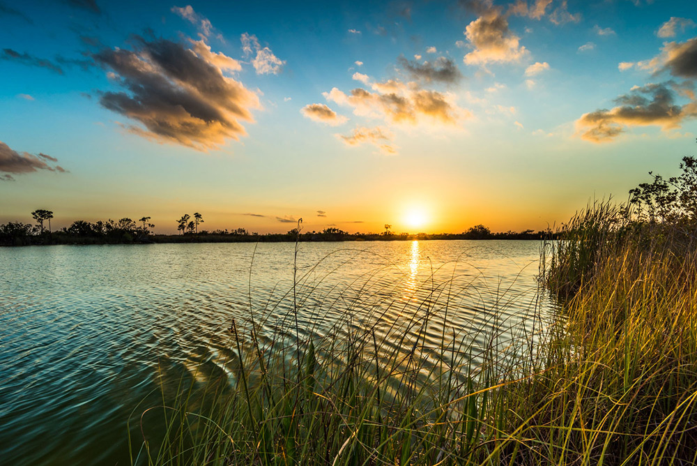 Sisal Pond