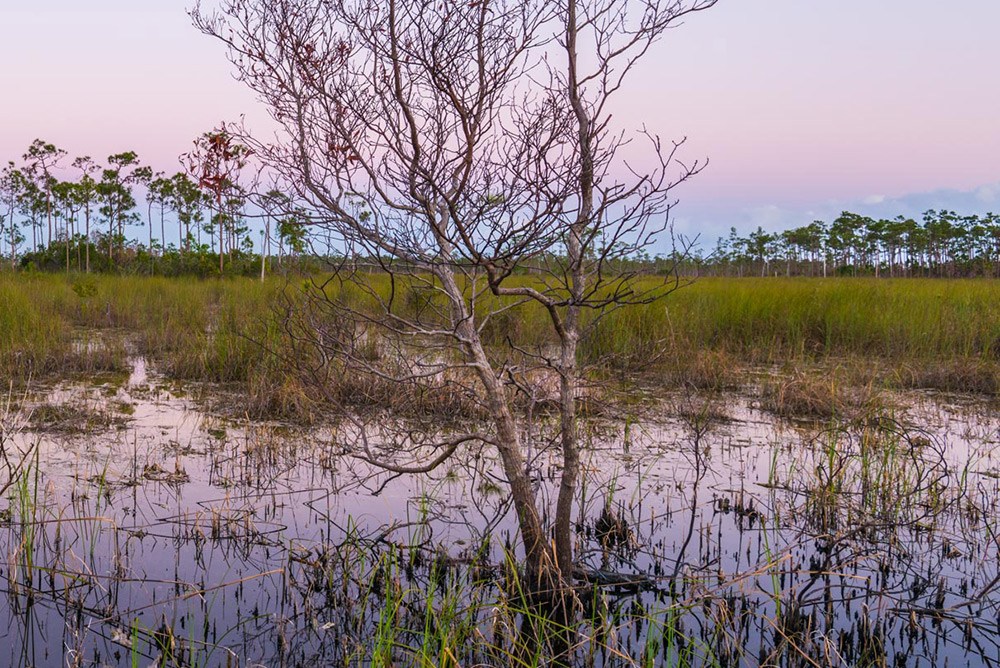 South Everglades